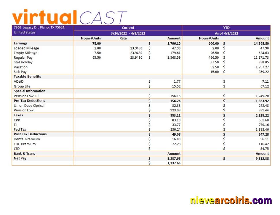 video conferencing company payroll